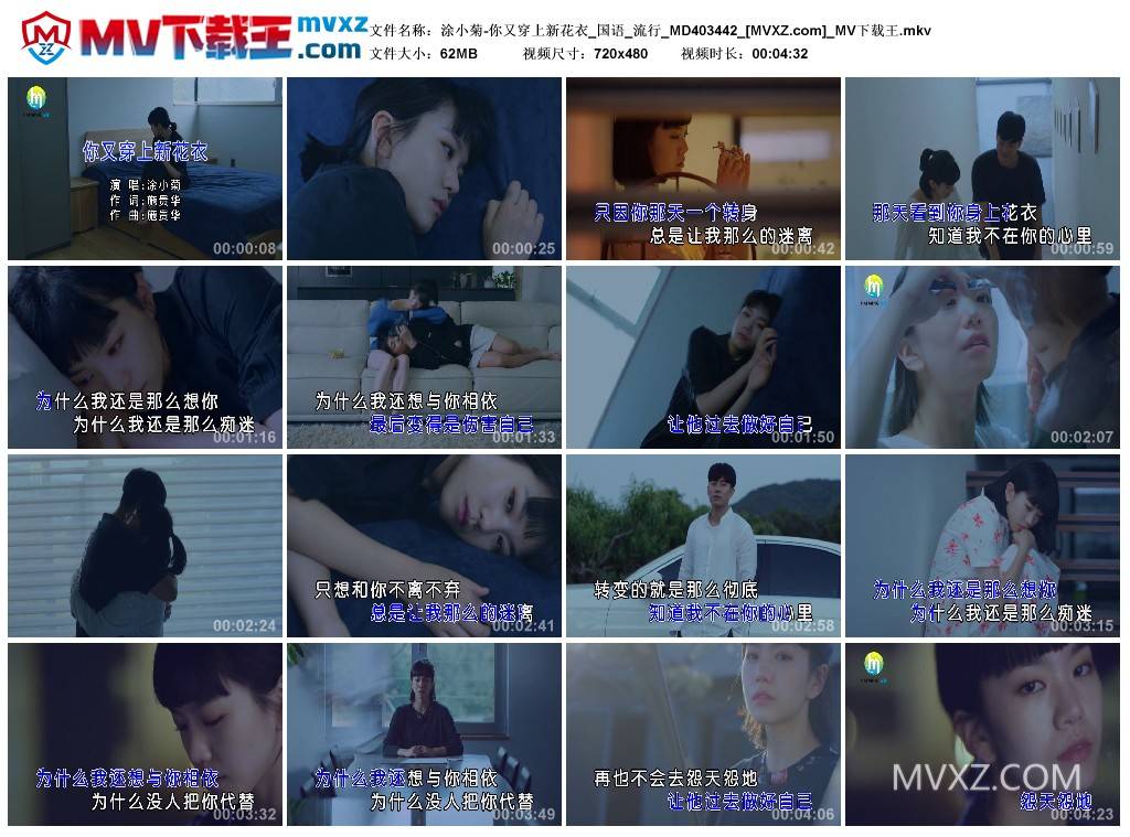 涂小菊-你又穿上新花衣_国语_流行_MD403442